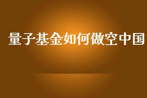 量子基金如何做空中国_https://wap.jnlaobingbanjia.com_财务管理_第1张
