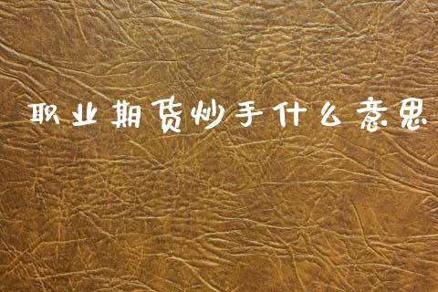 职业期货炒手什么意思_https://wap.jnlaobingbanjia.com_财务管理_第1张