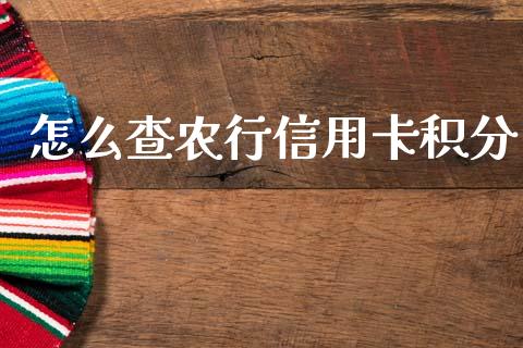 怎么查农行信用卡积分_https://wap.jnlaobingbanjia.com_金融理财_第1张