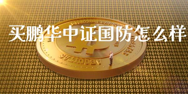 买鹏华中证国防怎么样_https://wap.jnlaobingbanjia.com_财务管理_第1张
