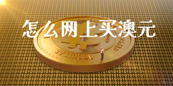 怎么网上买澳元_https://wap.jnlaobingbanjia.com_证券公告_第1张