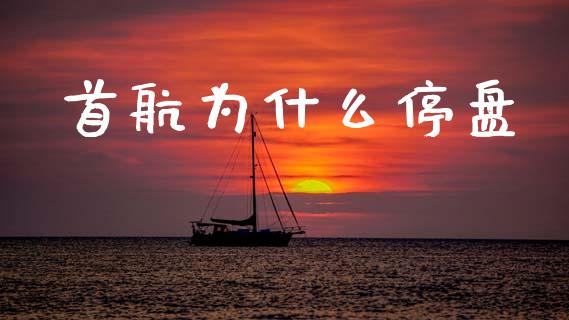 首航为什么停盘_https://wap.jnlaobingbanjia.com_股市行情_第1张