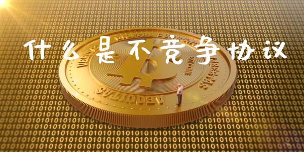 什么是不竞争协议_https://wap.jnlaobingbanjia.com_财经资讯_第1张