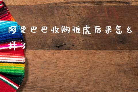 阿里巴巴收购雅虎后来怎么样了_https://wap.jnlaobingbanjia.com_股市行情_第1张
