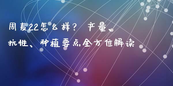 周麦22怎么样？ 产量、抗性、种植要点全方位解读_https://wap.jnlaobingbanjia.com_证券公告_第1张