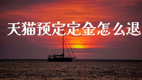 天猫预定定金怎么退_https://wap.jnlaobingbanjia.com_财务管理_第1张