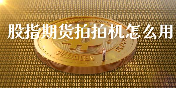 股指期货拍拍机怎么用_https://wap.jnlaobingbanjia.com_金融理财_第1张