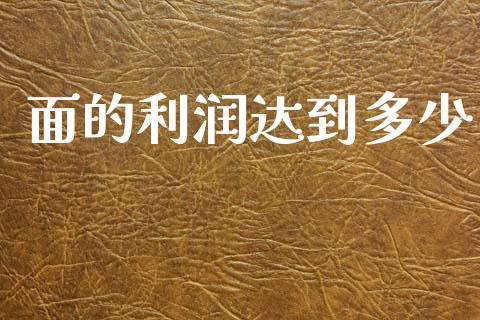 面的利润达到多少_https://wap.jnlaobingbanjia.com_证券公告_第1张
