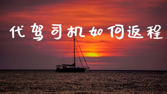 代驾司机如何返程_https://wap.jnlaobingbanjia.com_财务管理_第1张