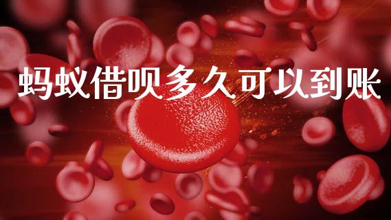 蚂蚁借呗多久可以到账_https://wap.jnlaobingbanjia.com_财务管理_第1张