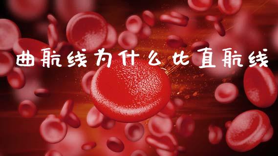 曲航线为什么比直航线_https://wap.jnlaobingbanjia.com_财务管理_第1张