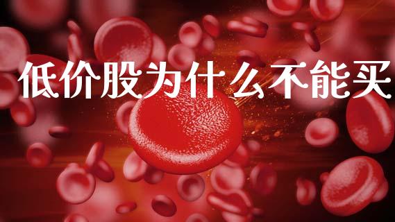 低价股为什么不能买_https://wap.jnlaobingbanjia.com_基金分析_第1张