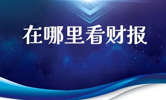 在哪里看财报_https://wap.jnlaobingbanjia.com_证券公告_第1张