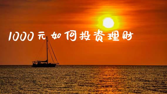1000元如何投资理财_https://wap.jnlaobingbanjia.com_金融理财_第1张