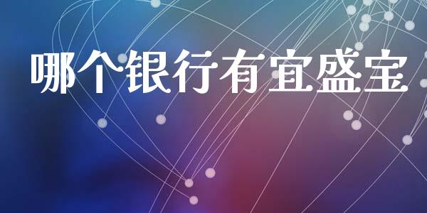 哪个银行有宜盛宝_https://wap.jnlaobingbanjia.com_金融理财_第1张