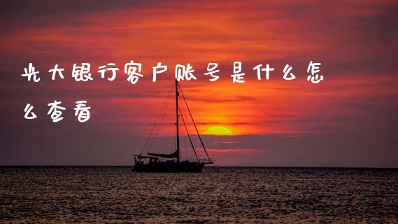 光大银行客户账号是什么怎么查看_https://wap.jnlaobingbanjia.com_证券公告_第1张
