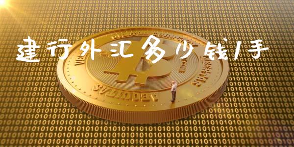 建行外汇多少钱1手_https://wap.jnlaobingbanjia.com_证券公告_第1张
