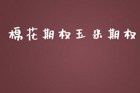 棉花期权玉米期权_https://wap.jnlaobingbanjia.com_股市行情_第1张