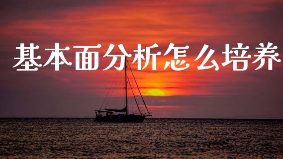 基本面分析怎么培养_https://wap.jnlaobingbanjia.com_财经资讯_第1张