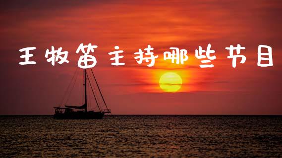 王牧笛主持哪些节目_https://wap.jnlaobingbanjia.com_证券公告_第1张
