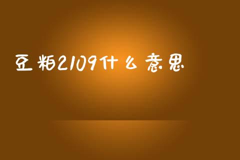 豆粕2109什么意思_https://wap.jnlaobingbanjia.com_财务管理_第1张