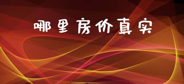 哪里房价真实_https://wap.jnlaobingbanjia.com_财务管理_第1张
