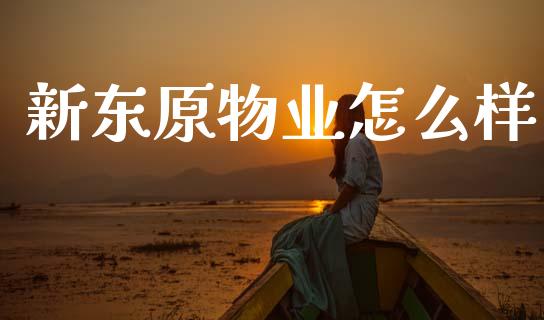 新东原物业怎么样_https://wap.jnlaobingbanjia.com_财务管理_第1张