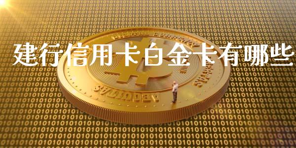 建行信用卡白金卡有哪些_https://wap.jnlaobingbanjia.com_证券公告_第1张