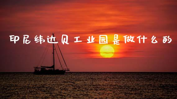 印尼纬达贝工业园是做什么的_https://wap.jnlaobingbanjia.com_财经资讯_第1张