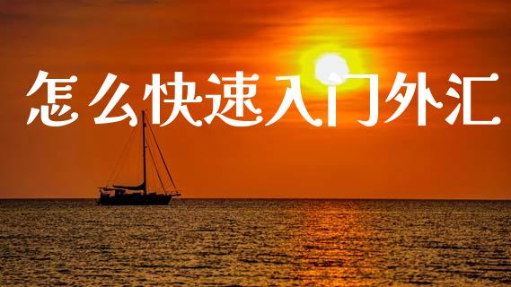 怎么快速入门外汇_https://wap.jnlaobingbanjia.com_金融理财_第1张