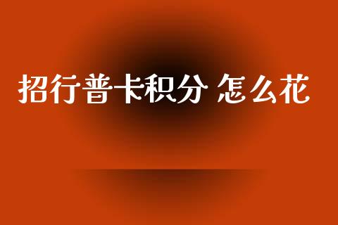 招行普卡积分 怎么花_https://wap.jnlaobingbanjia.com_财务管理_第1张