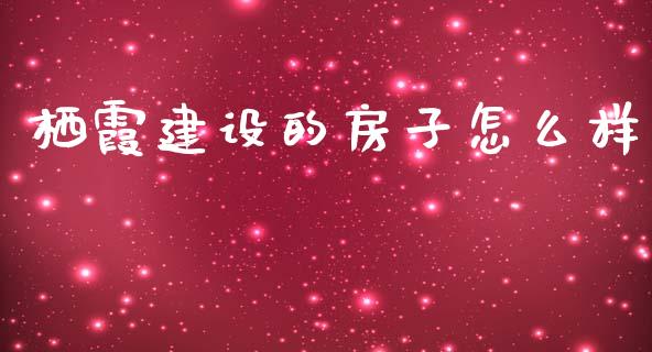 栖霞建设的房子怎么样_https://wap.jnlaobingbanjia.com_基金分析_第1张