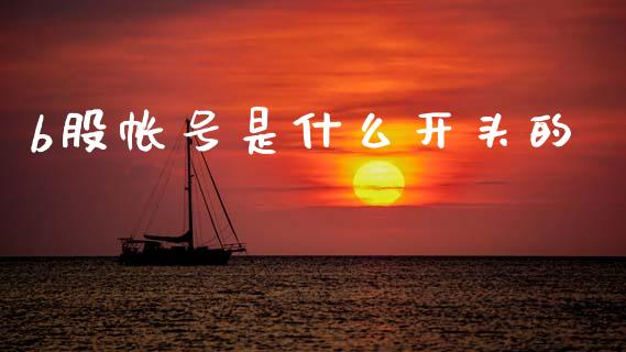 b股帐号是什么开头的_https://wap.jnlaobingbanjia.com_财务管理_第1张