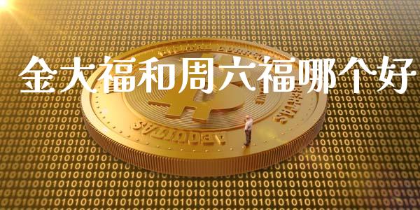 金大福和周六福哪个好_https://wap.jnlaobingbanjia.com_财务管理_第1张