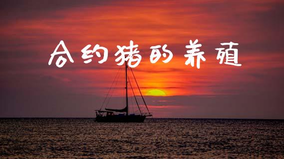 合约猪的养殖_https://wap.jnlaobingbanjia.com_基金分析_第1张
