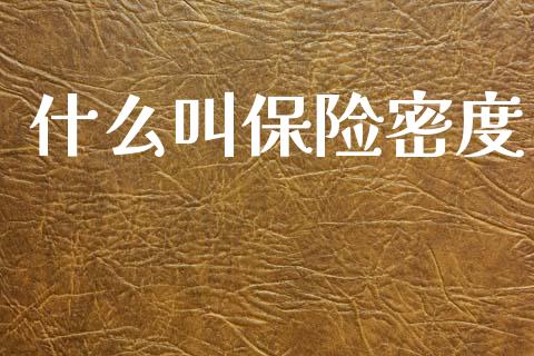 什么叫保险密度_https://wap.jnlaobingbanjia.com_证券公告_第1张