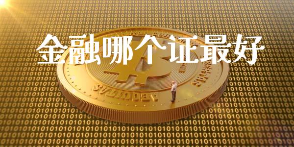 金融哪个证最好_https://wap.jnlaobingbanjia.com_财经资讯_第1张