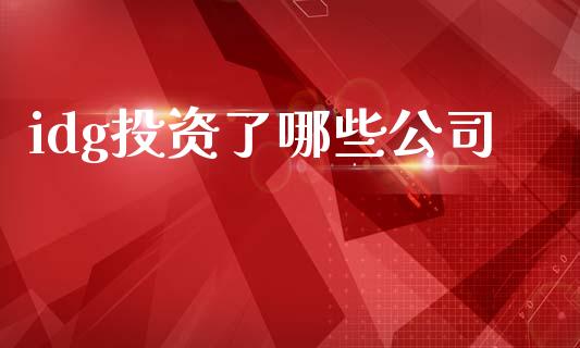 idg投资了哪些公司_https://wap.jnlaobingbanjia.com_财务管理_第1张