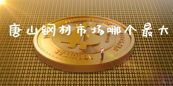 唐山钢材市场哪个最大_https://wap.jnlaobingbanjia.com_股市行情_第1张