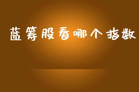 蓝筹股看哪个指数_https://wap.jnlaobingbanjia.com_财经资讯_第1张