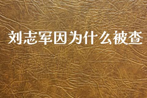 刘志军因为什么被查_https://wap.jnlaobingbanjia.com_证券公告_第1张