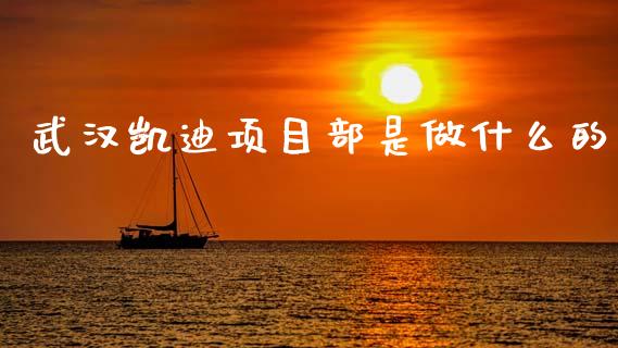 武汉凯迪项目部是做什么的_https://wap.jnlaobingbanjia.com_基金分析_第1张