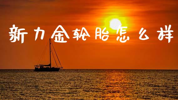 新力金轮胎怎么样_https://wap.jnlaobingbanjia.com_财务管理_第1张