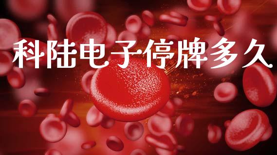 科陆电子停牌多久_https://wap.jnlaobingbanjia.com_财经资讯_第1张