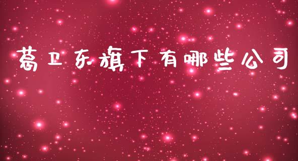 葛卫东旗下有哪些公司_https://wap.jnlaobingbanjia.com_证券公告_第1张