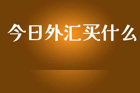 今日外汇买什么_https://wap.jnlaobingbanjia.com_财务管理_第1张