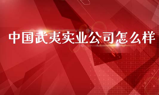 中国武夷实业公司怎么样_https://wap.jnlaobingbanjia.com_财务管理_第1张