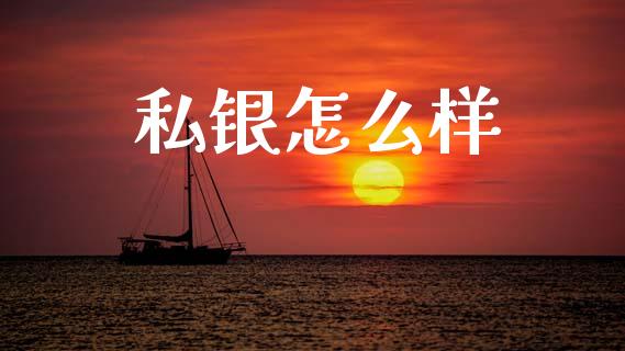 私银怎么样_https://wap.jnlaobingbanjia.com_证券公告_第1张