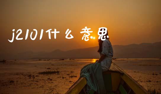 j2101什么意思_https://wap.jnlaobingbanjia.com_财务管理_第1张