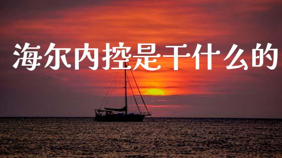 海尔内控是干什么的_https://wap.jnlaobingbanjia.com_基金分析_第1张